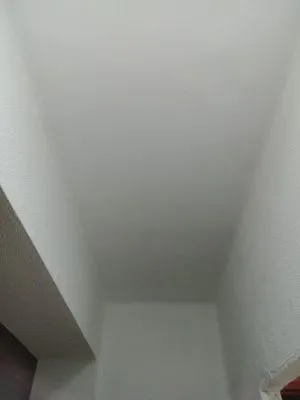 Pintor eficaz pintura interior y exterio - 3