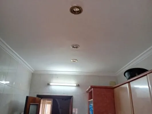 Pintor eficaz pintura interior y exterio - 4