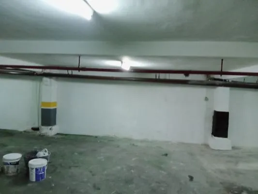 Pintor eficaz pintura interior y exterio - 5