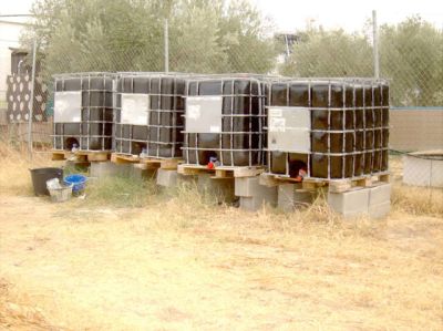 Finca carretera niebla/rociana 12.000€ - 4