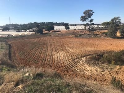 Se vende campo en las carreras - 4