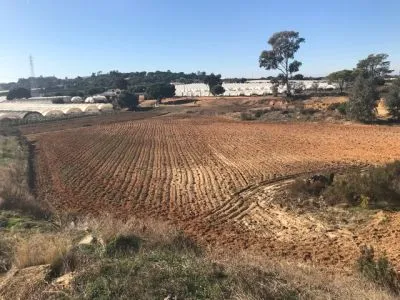 Se vende campo en las carreras - 4