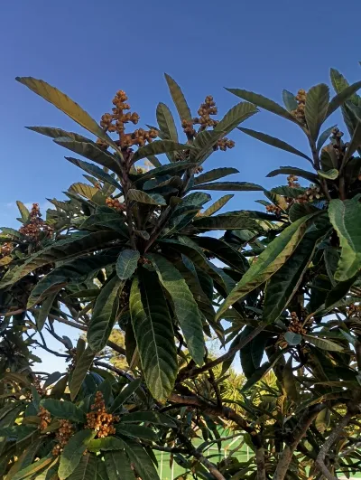 Se vende parcela - 2