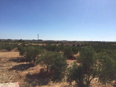 Finca rustica con vivienda en rociana del condado 48.500€