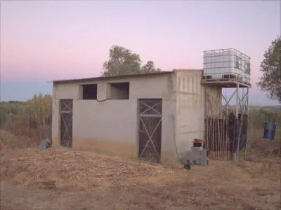 Finca carretera niebla/rociana 12.000€ - 2