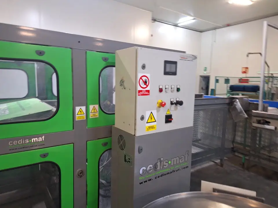 Línea monocalibre automática de cestas - 3
