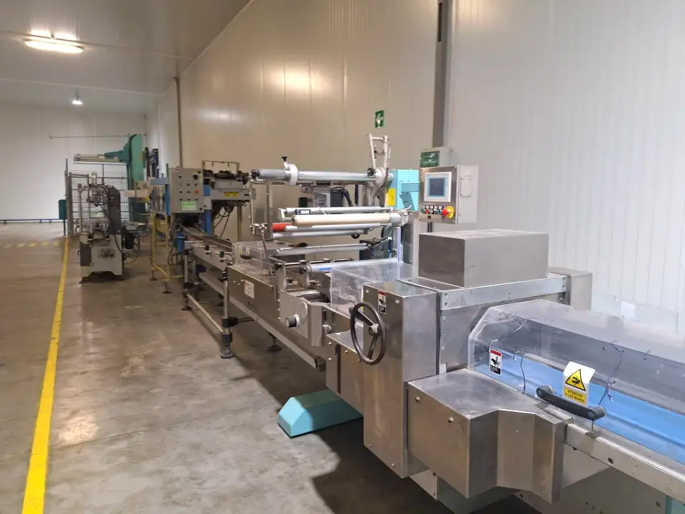 Línea de llenado de cestas - cuentafrutas sorma+ flow pack - 4