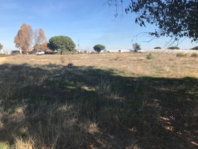 Se vende campo en las carreras - 2