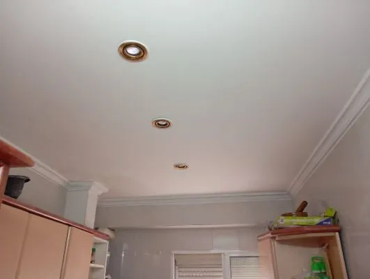 Pintor eficaz pintura interior y exterio  - 4