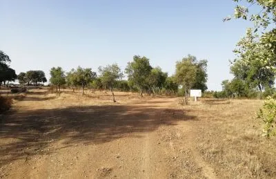 Espectacular finca rústica de 300 ha en la sierra de huelva – coto de caza, manantiales y acceso directo - 3