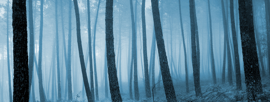 Dub Victor - megaAnuncios